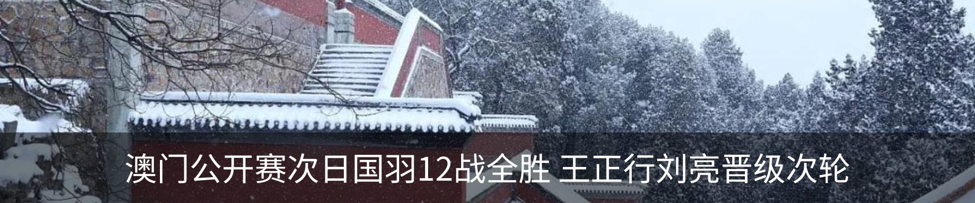 新闻动态