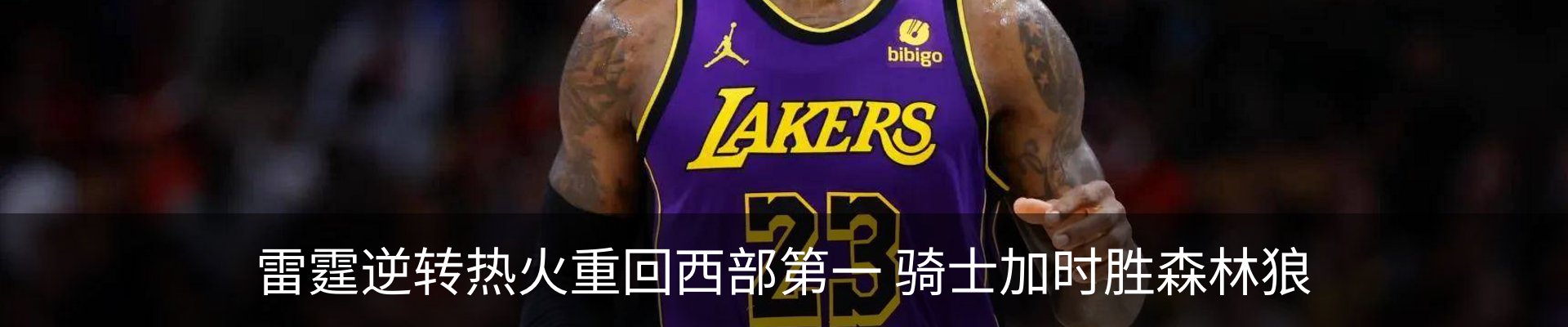 新闻动态